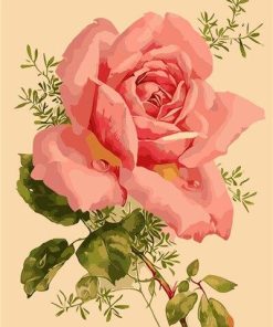 Pink Flower Blooms Paint By Numbers