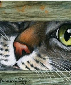 Cat Animals Paint By Numbers