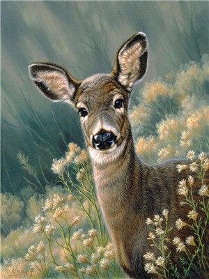 Finalizing the Autumn Deer Fawn Artwork