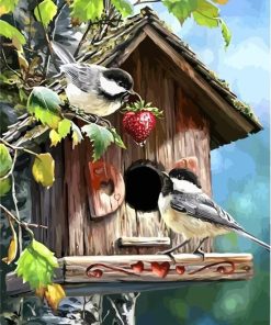 Beautiful Birds Paint By Numbers