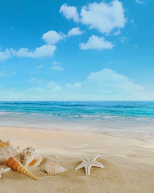 Seashells on the Beach Paint By Numbers Artwork Finalization