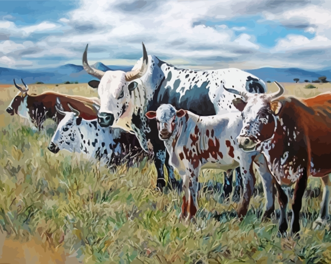 Finalizing Nguni Cattle Herd South Africa Artwork