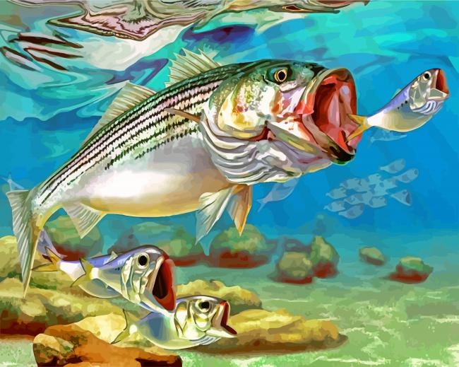 finalized Striper Fish Ocean Scene artwork
