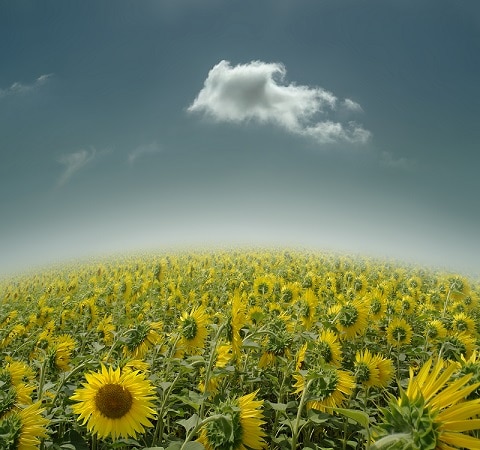 finalizing the artwork