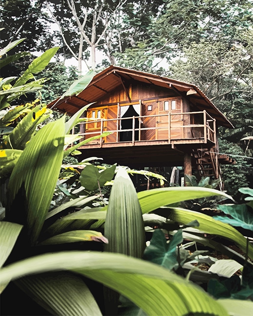 finalizing the Beautiful Wooden House Landscape Paint By Numbers artwork