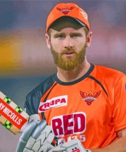 Kane Williamson Cricketer Paint By Numbers