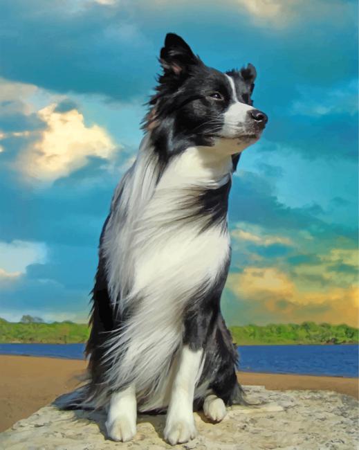 Completed Aesthetic Border Collie artwork