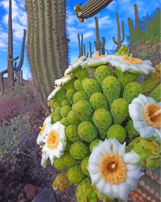 Finalized Green Cactus Paint By Numbers artwork