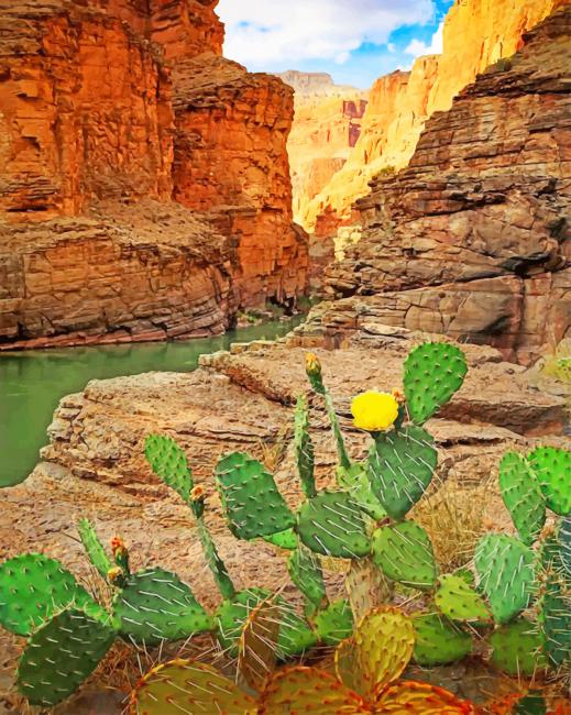 Grand Canyon Cactus View completed artwork