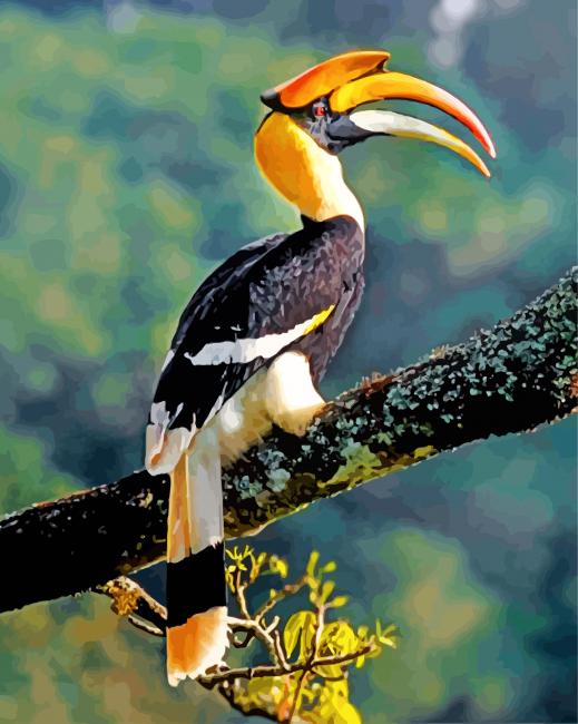 Finalizing the Great Hornbill artwork