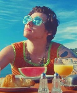 Harry Styles Inspired Paint By Numbers