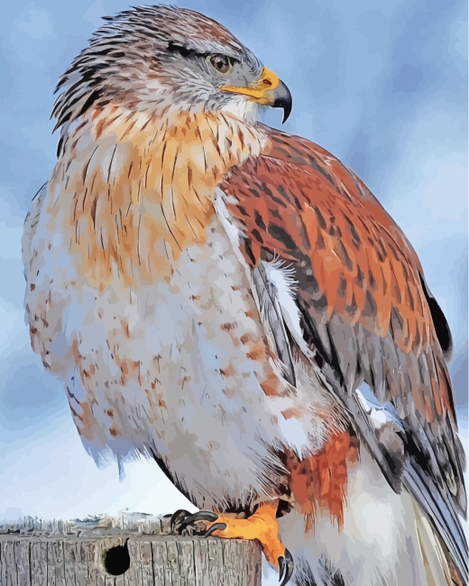 Finalizing the Majestic Hawk Bird Artwork