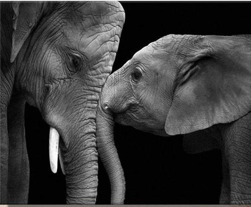 Finalizing the artwork painting by numbers