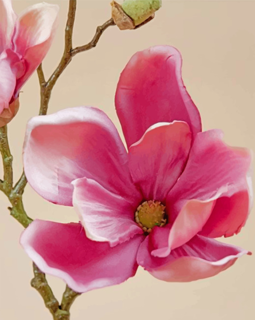 Finalizing the Pink Magnolia Flower artwork