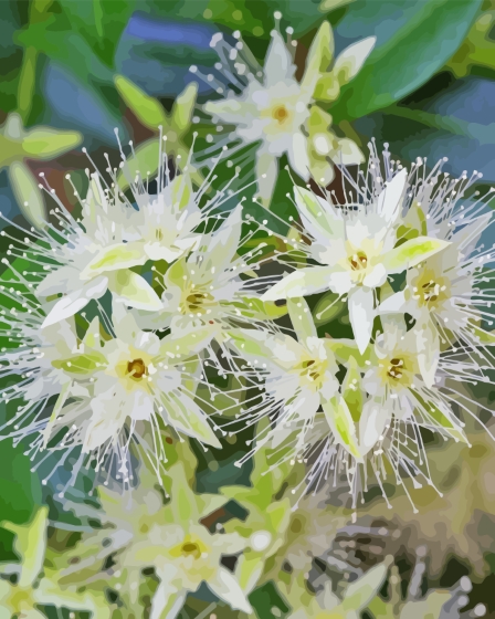 Finalizing White Snow Gum Blossoms artwork