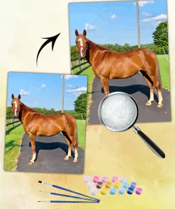 Paint By Numbers Custom​ Pets