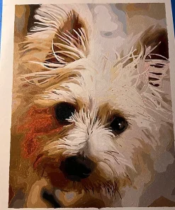 Paint By Numbers Custom​ Pets gall 13