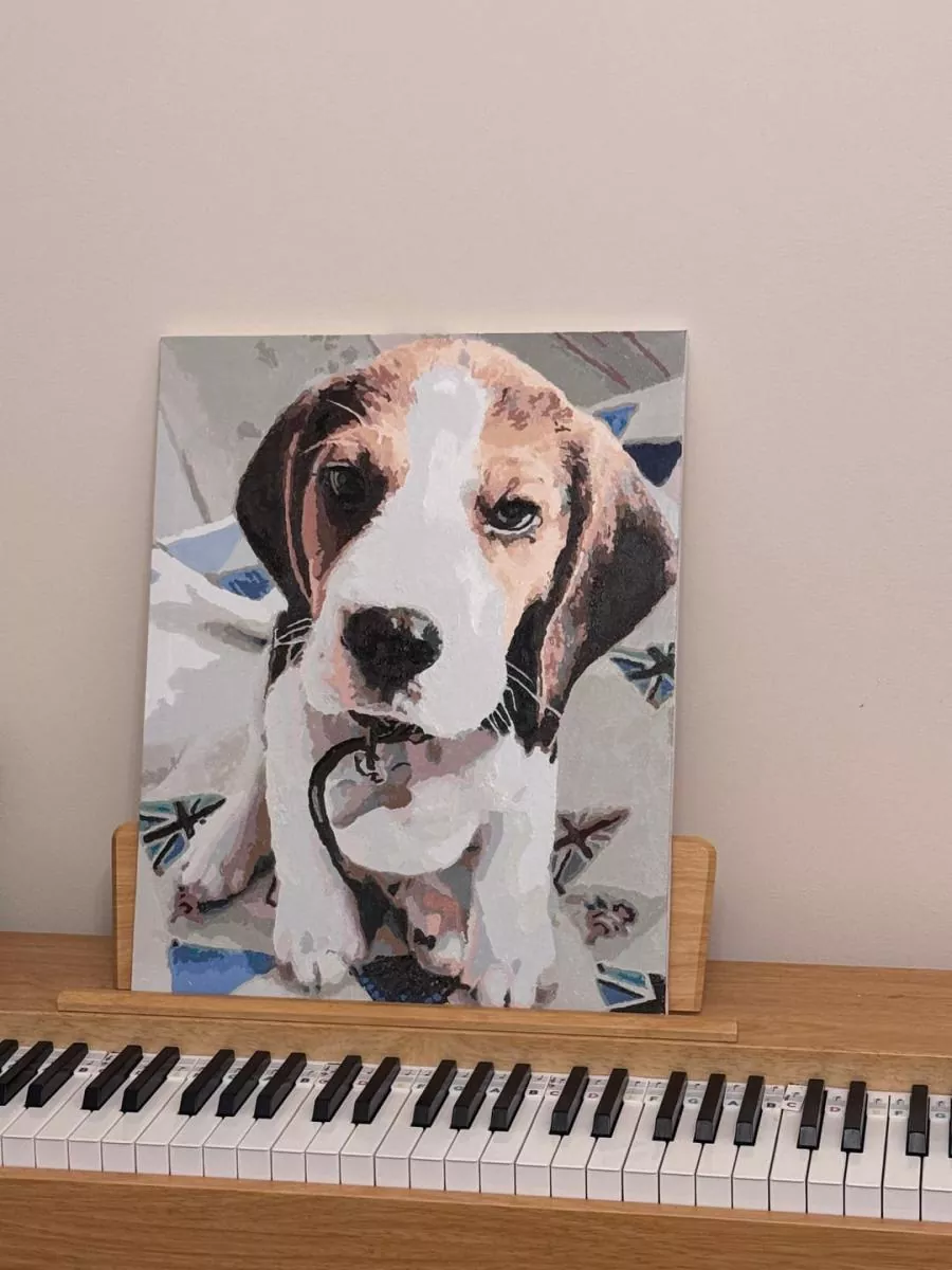 Paint By Numbers Custom​ Pets reviews 2