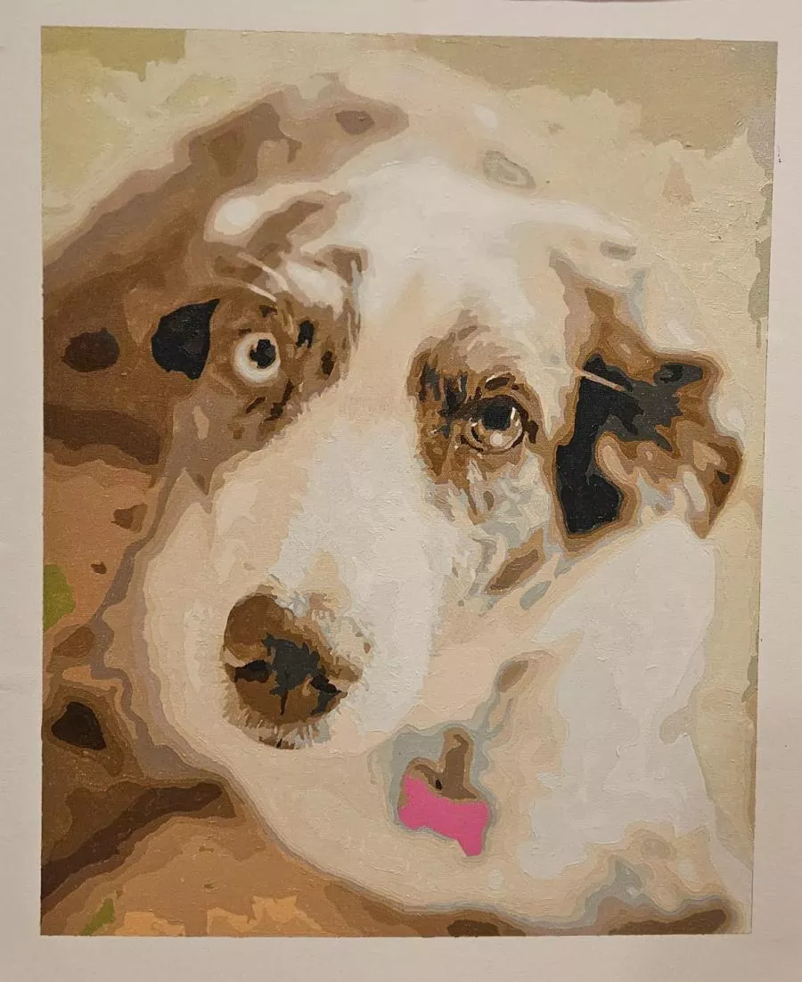 Paint By Numbers Custom​ Pets reviews 3