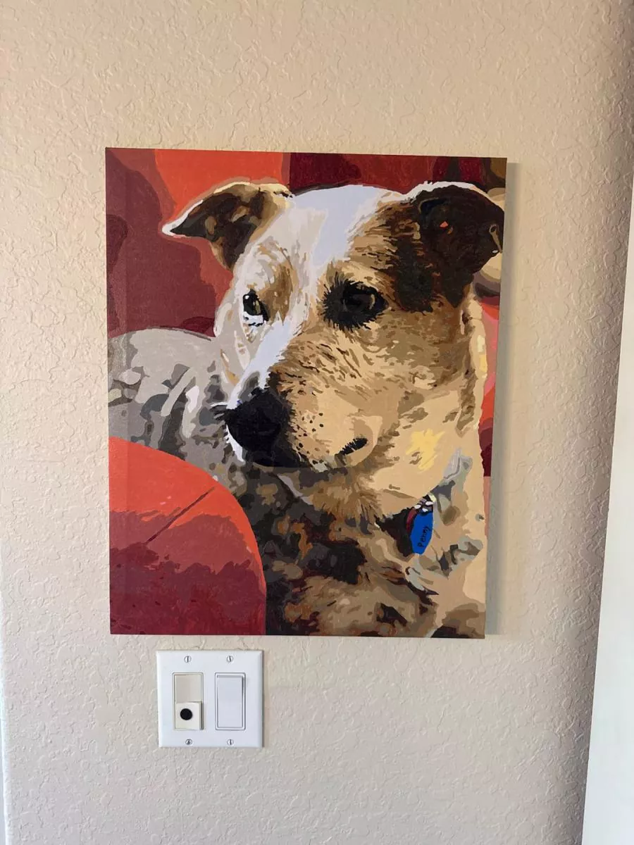 Paint By Numbers Custom​ Pets reviews 4