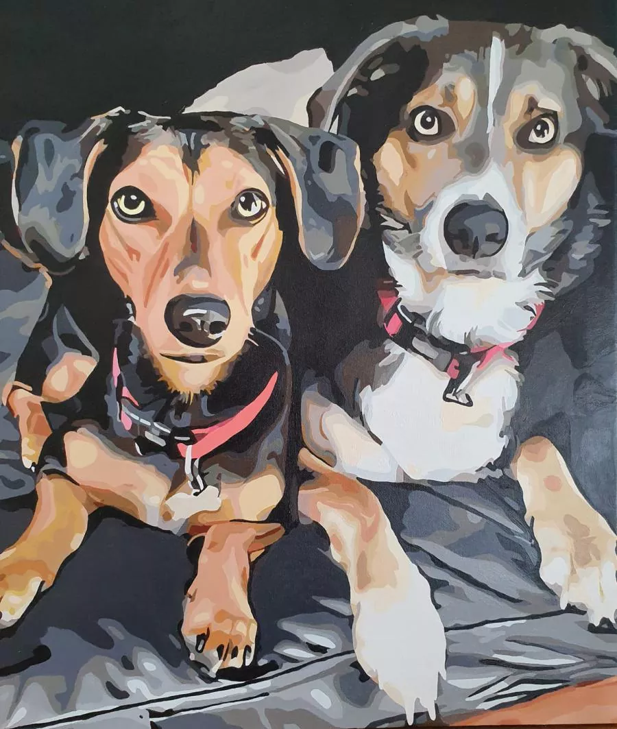 Paint By Numbers Custom​ Pets reviews 6