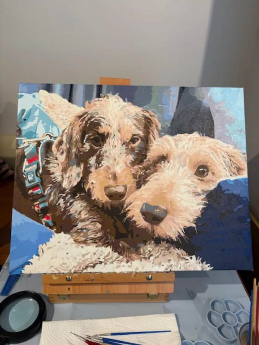 Paint By Numbers Custom​ Pets reviews 7